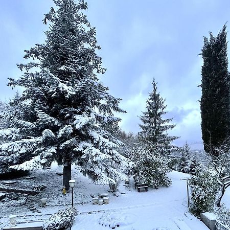 Mazzetti Country House-Vita In Campagna Con Giardino Vimignano-Chiesa Екстериор снимка