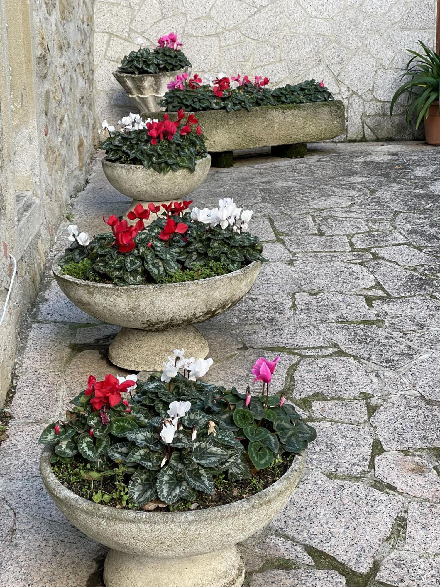 Mazzetti Country House-Vita In Campagna Con Giardino Vimignano-Chiesa Екстериор снимка