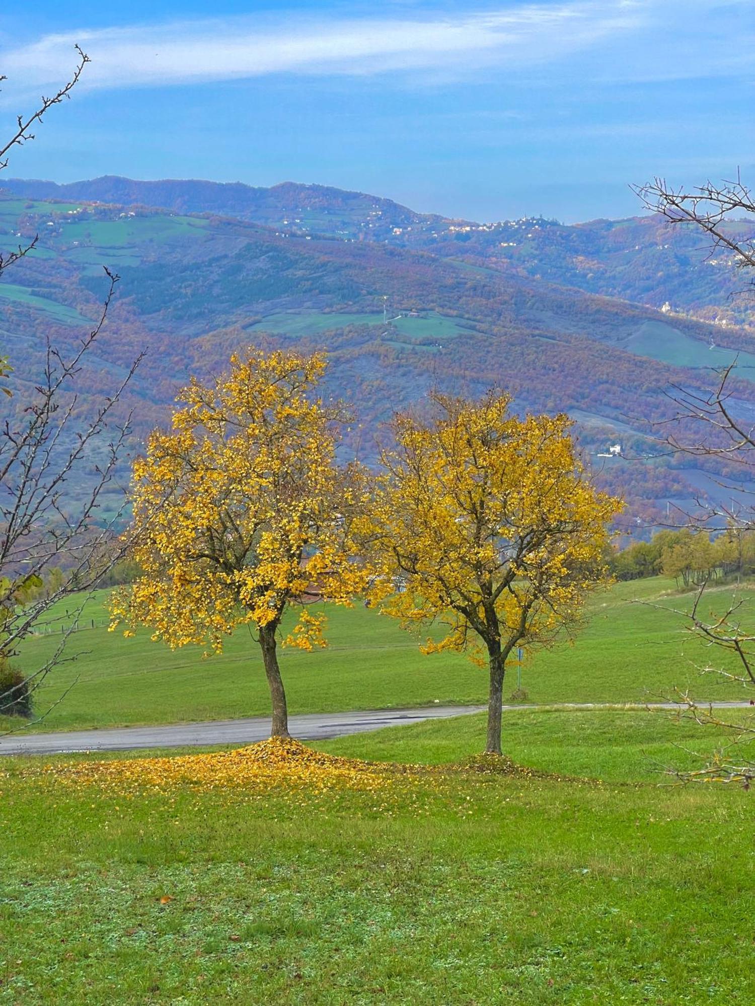 Mazzetti Country House-Vita In Campagna Con Giardino Vimignano-Chiesa Екстериор снимка