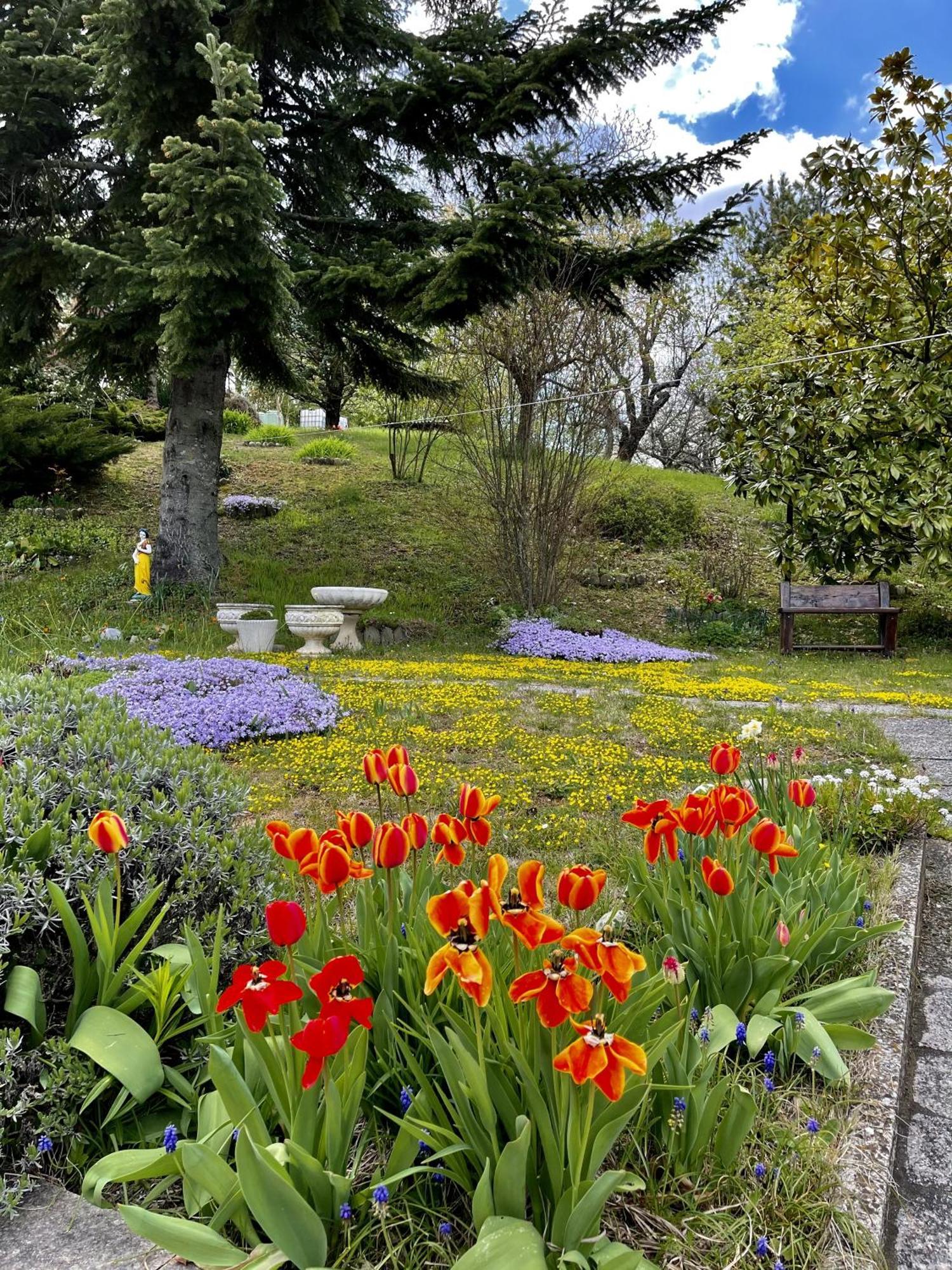 Mazzetti Country House-Vita In Campagna Con Giardino Vimignano-Chiesa Екстериор снимка