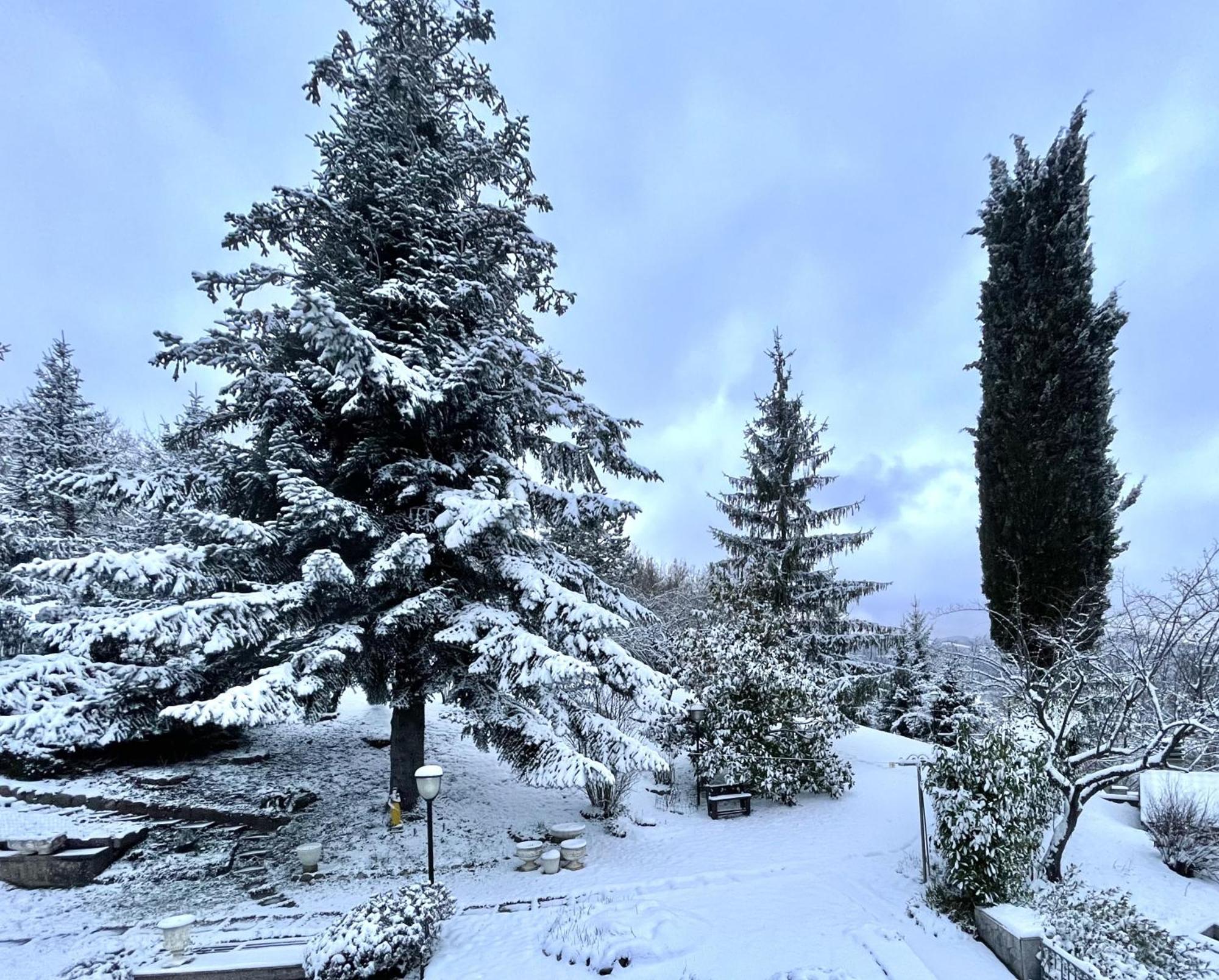 Mazzetti Country House-Vita In Campagna Con Giardino Vimignano-Chiesa Екстериор снимка