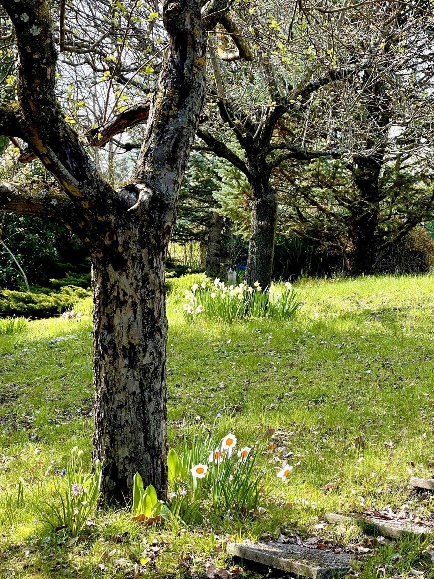 Mazzetti Country House-Vita In Campagna Con Giardino Vimignano-Chiesa Екстериор снимка