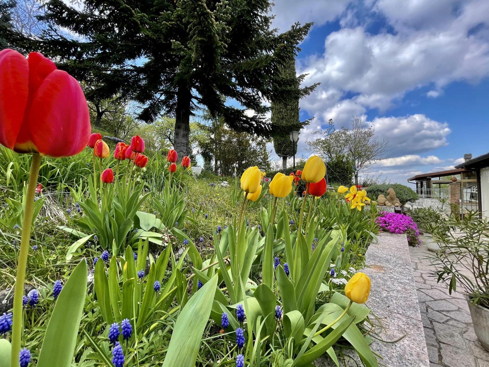 Mazzetti Country House-Vita In Campagna Con Giardino Vimignano-Chiesa Екстериор снимка