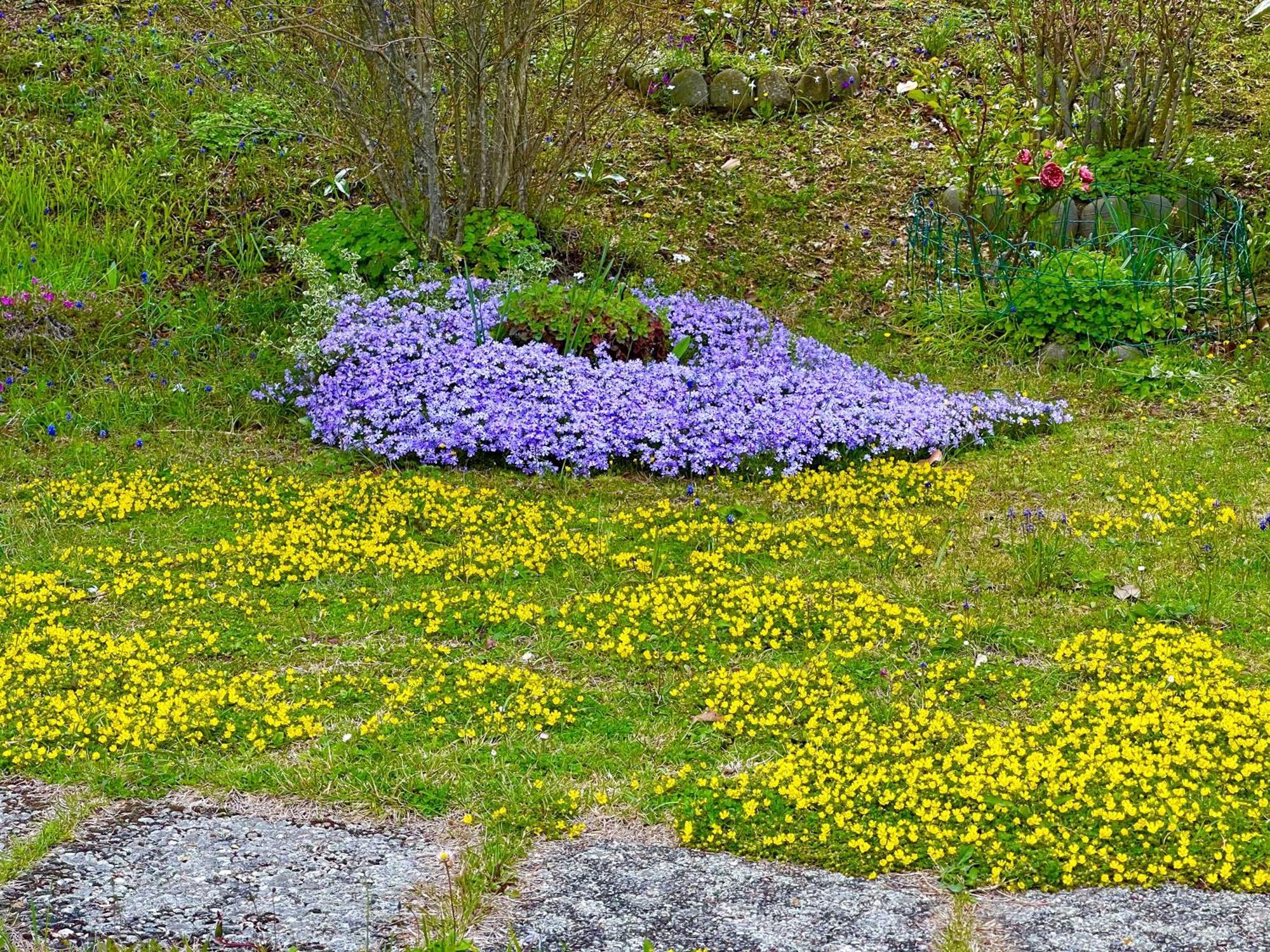 Mazzetti Country House-Vita In Campagna Con Giardino Vimignano-Chiesa Екстериор снимка