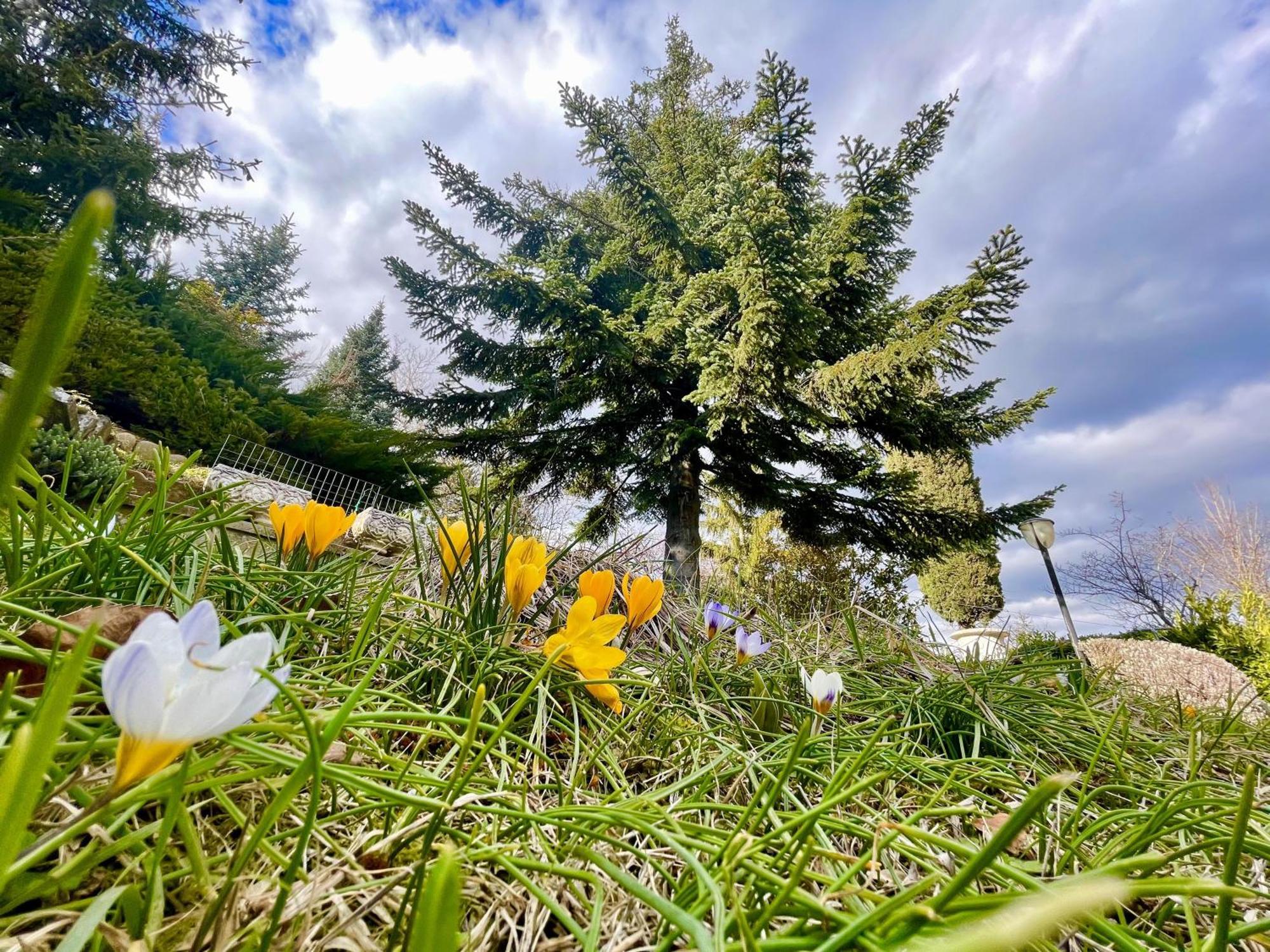 Mazzetti Country House-Vita In Campagna Con Giardino Vimignano-Chiesa Екстериор снимка