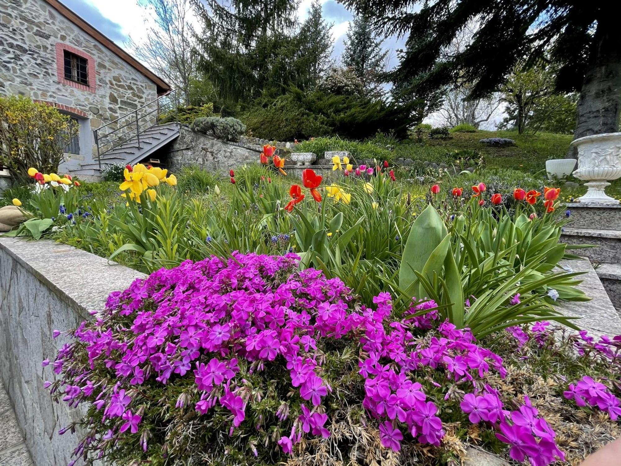Mazzetti Country House-Vita In Campagna Con Giardino Vimignano-Chiesa Екстериор снимка