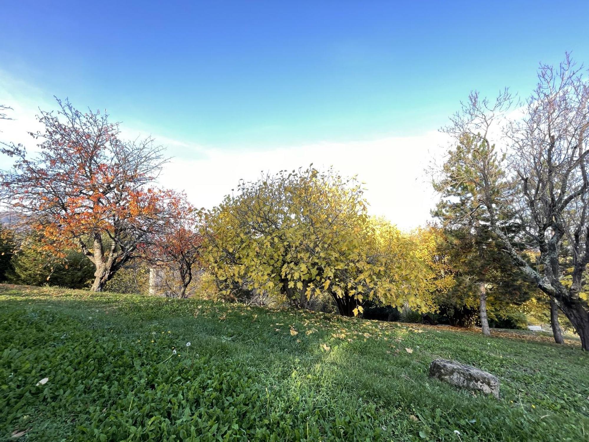 Mazzetti Country House-Vita In Campagna Con Giardino Vimignano-Chiesa Екстериор снимка
