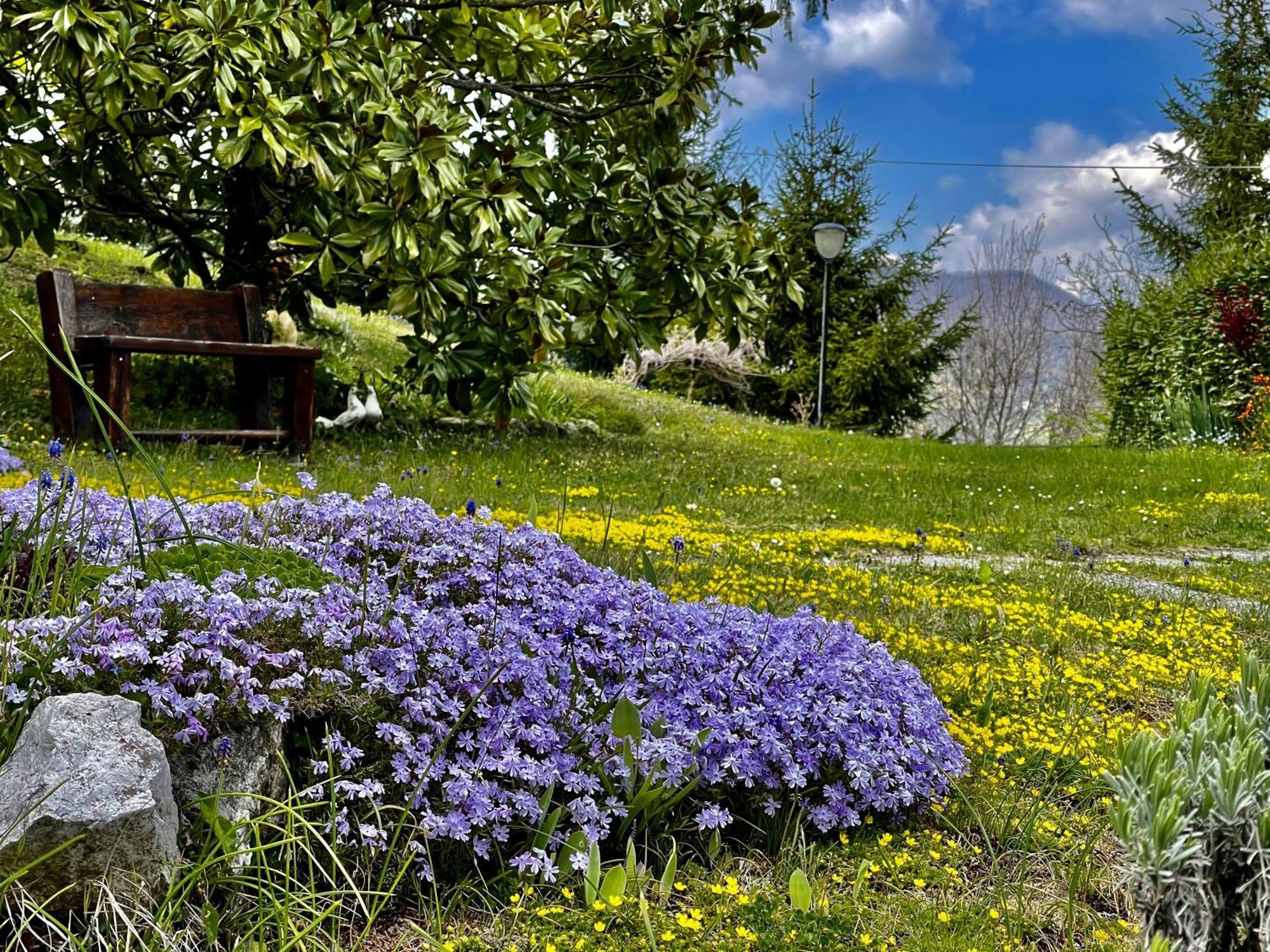 Mazzetti Country House-Vita In Campagna Con Giardino Vimignano-Chiesa Екстериор снимка