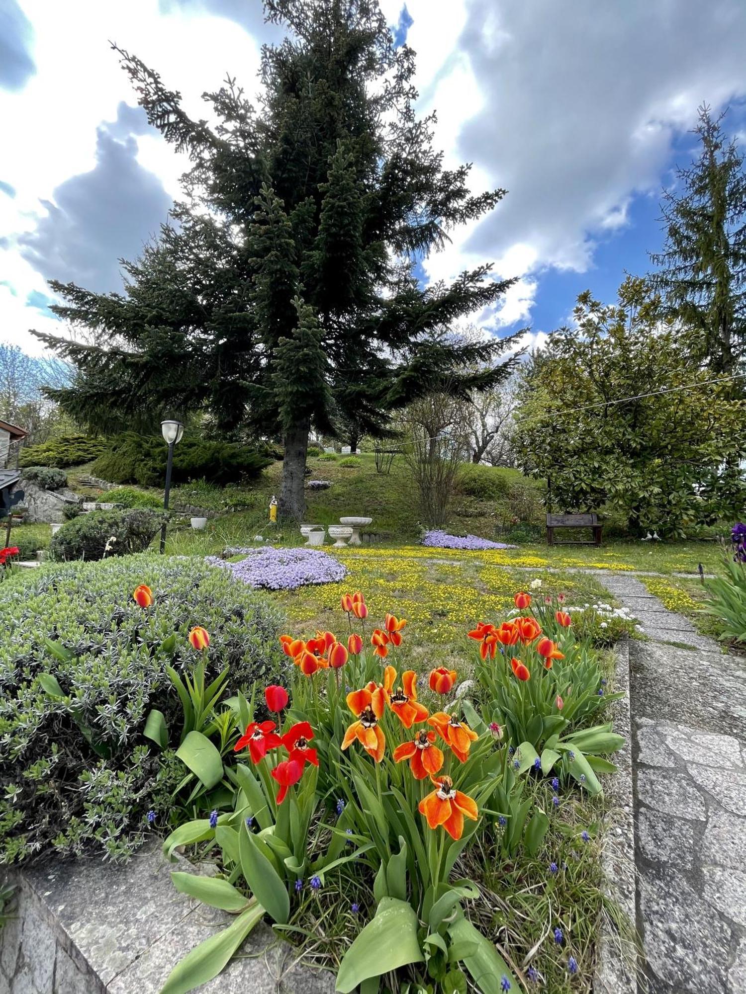Mazzetti Country House-Vita In Campagna Con Giardino Vimignano-Chiesa Екстериор снимка